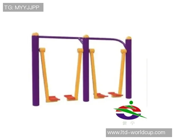 国内十大体育器材品牌全解析助你选择最优运动装备