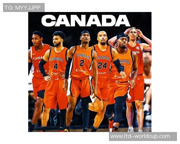 探索加拿大NBA篮球队的辉煌历程与未来发展潜力分析